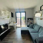 Rent 3 bedroom apartment of 80 m² in Milano