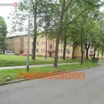 Rent 2 bedroom apartment of 40 m² in Trhový Štěpánov