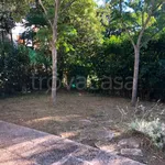 Rent 2 bedroom apartment of 65 m² in Camerino