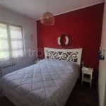 Rent 3 bedroom apartment of 55 m² in Numana