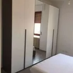 Rent 3 bedroom apartment of 55 m² in Novara