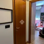 Rent 4 bedroom apartment of 100 m² in Bologna