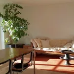 Rent 2 bedroom apartment in Basel