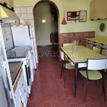 Rent 4 bedroom apartment of 80 m² in Ladispoli