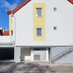 Rent 4 bedroom apartment of 100 m² in Ziegelofen