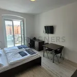 Rent 1 bedroom apartment of 25 m² in Brno