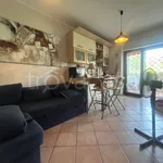 Rent 2 bedroom apartment of 50 m² in Nettuno