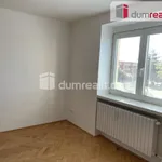 Rent 1 bedroom apartment of 29 m² in Dolní Benešov