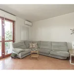 Rent 2 bedroom apartment of 68 m² in Milano