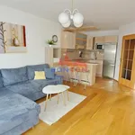 Rent 2 bedroom apartment of 47 m² in Prague