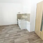 Pronájem bytu 1+kk 30m²