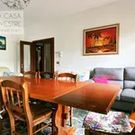 Rent 1 bedroom apartment of 22 m² in treviso