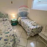 Rent 2 bedroom apartment of 60 m² in Capri