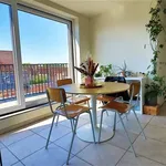 Rent 1 bedroom apartment in KORTRIJK