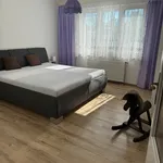 Rent 1 bedroom house in Jindřichův Hradec