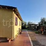 Rent 5 bedroom house of 200 m² in Grottaferrata