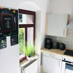 Miete 2 Schlafzimmer wohnung von 55 m² in Dresden