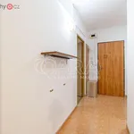 Rent 2 bedroom apartment of 42 m² in Mělník