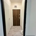 Rent 1 bedroom apartment in Sokolov