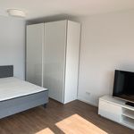 Miete 1 Schlafzimmer wohnung von 36 m² in Offenbach am Main