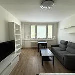 Rent 1 bedroom apartment of 27 m² in Capital City of Prague