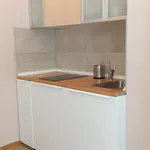 Rent 1 bedroom apartment of 50 m² in Mainz