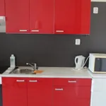 Rent 1 bedroom apartment of 48 m² in Brno