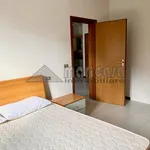 Rent 1 bedroom apartment of 50 m² in ferrara