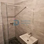 Rent 1 bedroom apartment in Olomouc