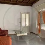 Rent 3 bedroom apartment of 100 m² in Pavia