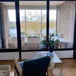 Rent 4 bedroom apartment of 83 m² in Düsseldorf