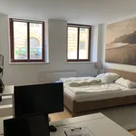 Miete 2 Schlafzimmer wohnung von 62 m² in Leipzig