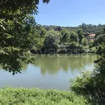 Rent 3 bedroom apartment of 80 m² in Torino