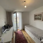 Miete 5 Schlafzimmer wohnung von 240 m² in Vienna