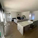 Rent 1 bedroom apartment in Zandhoven Pulle