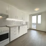 Rent 3 bedroom apartment of 74 m² in Capital City of Prague