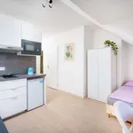 Pronajměte si 1 ložnic/e byt o rozloze 25 m² v prague