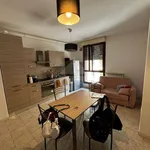 Rent 2 bedroom apartment of 45 m² in Firenze