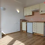 Rent 1 bedroom apartment of 20 m² in Praha