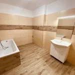 Rent 1 bedroom apartment in Jihlava