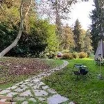 Rent 2 bedroom apartment of 40 m² in Turin