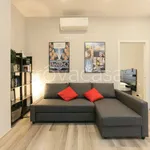 Rent 3 bedroom apartment of 70 m² in Milano