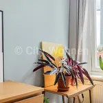 Rent 2 bedroom apartment of 85 m² in Hamburg