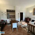 Rent 3 bedroom apartment of 90 m² in Turin