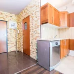 Rent 1 bedroom house of 44 m² in Kraków