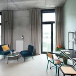 Miete 1 Schlafzimmer wohnung in Frankfurt