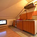 Rent 1 bedroom apartment of 26 m² in Timisoara