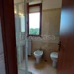 Rent 2 bedroom apartment of 40 m² in Roma