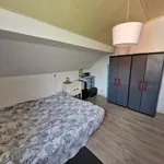  appartement avec 1 chambre(s) en location à jambes