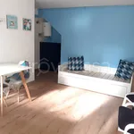 Rent 1 bedroom apartment of 30 m² in Roma